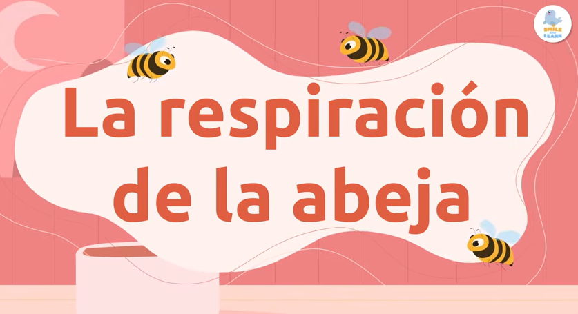 Cargar video: 